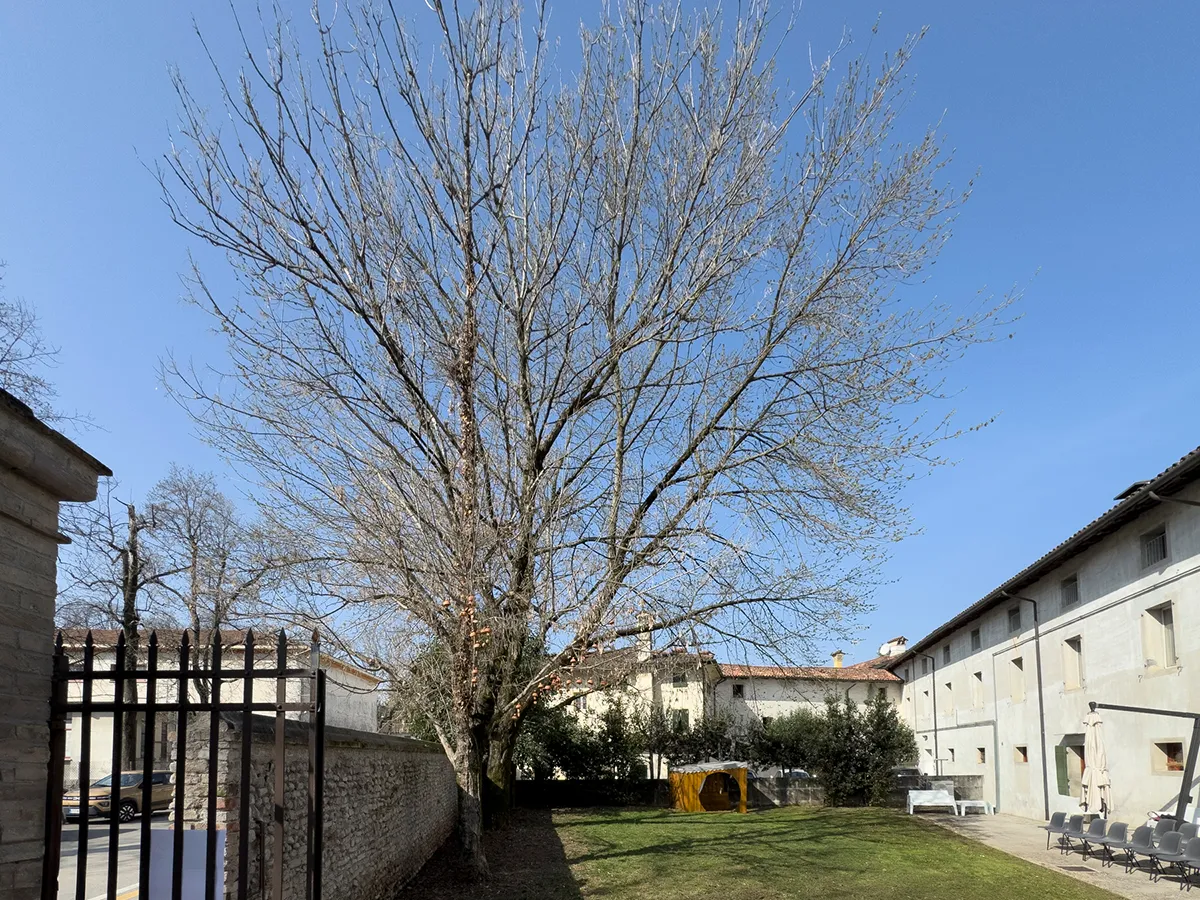 Giardino della Biblioteca Ragazzi, viale Dante Alighieri 14